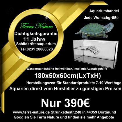 Wasserschildkröten Aquarium mit Terrasse 180x60x70cm