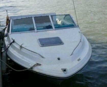 Motorboot Sea Ray 200 CC mit 1, 8 t Trailer