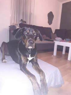 Wir brauche dringend Hille!!!!
