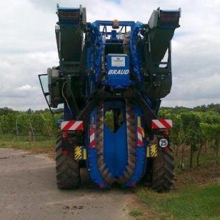 Ich biete handarbeit ausführen im Weinberg?