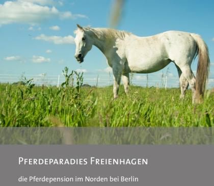 Pferdeparadies Freienhagen - Die Pferdepension