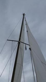 Segelyacht Nautica 24