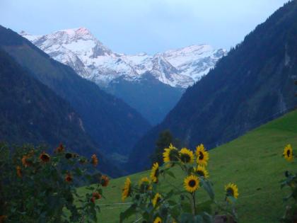 Günstige Ferienwohnungen in Österreich Land Salzburg