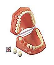 CZ-Dentallabor sucht Zahnärzte/Labore für Kooperation