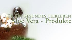 Aloe Vera für Katzen, Hunde und andere Tiere