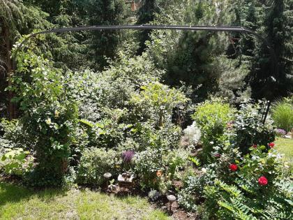 Rosenbogen BARCELONA Pergola Gartenbogen Torbogen Rosensäule
