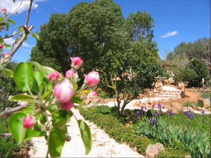 Mallorca Ferienhaus Finca