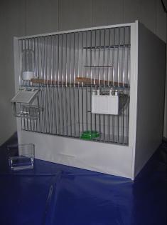 Gebe ab: Zuchtboxen