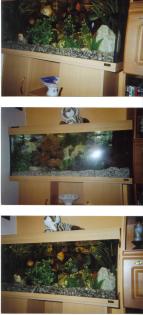 Verkaufe Aquarium
