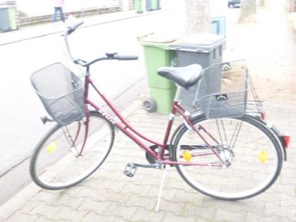 (244) 7 Gang Rücktrittsbremse 28 Zoll Rh 50 tiefer Einstieg