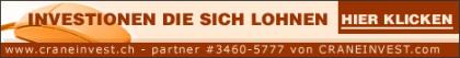 Mit 20 Euro machen sie in 4 Monaten 91 Euro!