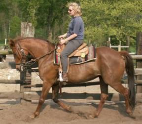 Reiten Reiten Reiten, bei Hannover