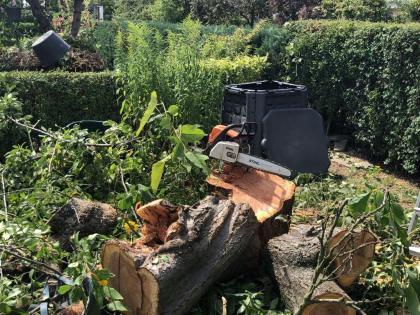 ? Abholung ? Gartenabfälle ? Baumschnitt ? Entsorgung ? Astholz