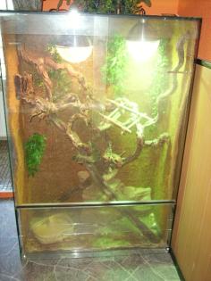 Volleingerichtetes Terrarium 150x100x50cm- TOP!!!!