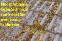 DER PROFI MACHT´S