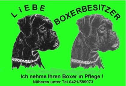 Nehme Ihren Boxer in liebevolle Boxererfahrene Pflege