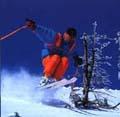 SKIURLAUB IN RIESENGEBIRGE *** PENSION
