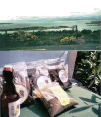 Tang,Seetang und Norialge.