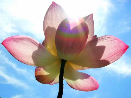 CranioSacral Yoga & Coaching