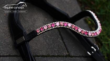 Strass Stirnriemen und Trensen