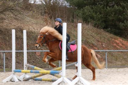 Reitbeteiligung gesucht  Reiter sucht 