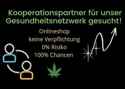 Einkommensmöglichkeit mit Onlineshop