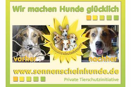 Sonnenscheinhunde suchen ein Zuhause