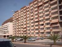 Appartment Flamingo in Palm Mar im Süden von Teneriffa