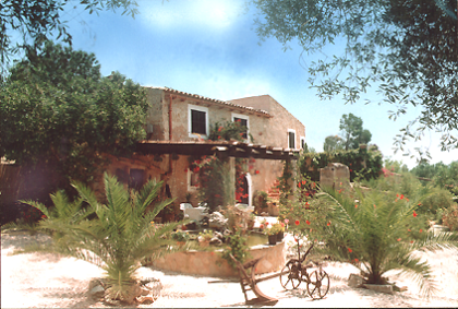 Mallorca: schöne FEWO auf romantischer Finca (Juli/Aug frei!)