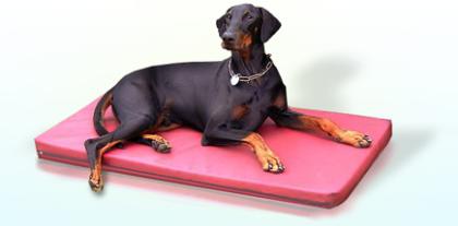 Doggybed Hund-Komfortbetten