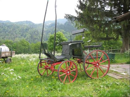 Pferdekutsche, Einspänner