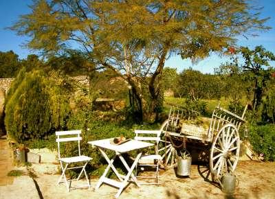 Lastminute Sommer freie Finca Vermietung