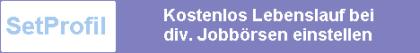 Bewerberprofil (Lebenslauf) i. d. Jobbörsen anmelden