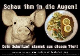 Menschen, esst kein Fleisch!