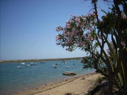 Immobilien in ALGARVE - Portugal