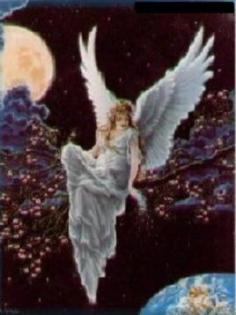 Tarot und Liebes-Horoskop