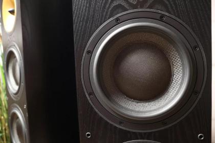 2 x Bowers & Wilkins B&W 803s Lautsprecher