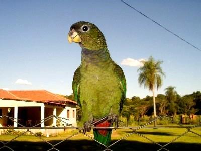 Immobilien in Paraguay