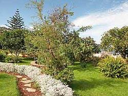 Teneriffa Villa Caya