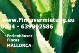 Fincavermietung Mallorca Ferienhausvermietung Mallorca