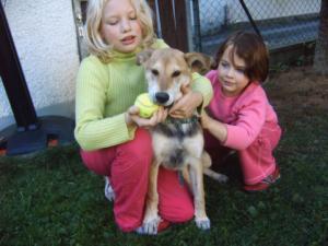 Paco, kleiner Dreikäsehoch sucht endlich eine eigene Familie!!!