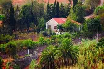 Gran Canaria Finca Ferienhaus Hueso