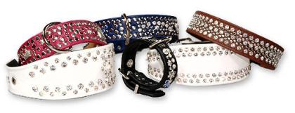 Grosshandel Hundehalsband Hundeleine Strass