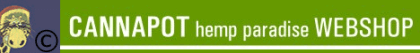 Hanfsamen Cannabissamen Hanfshop
