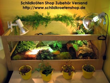 Schildkröten Shop  Landschildkröten Zubehör Versand