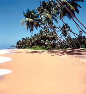 SRI LANKA, Beruwela, Ü.F. 10,00 Euro. Preiswerte Rundreisen!