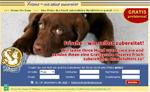 Frisch zubereitete Hundefutterprobe gratis!