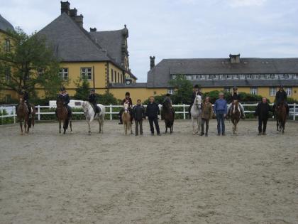 Reitbeteiligungen ; Westfale, Reitpony, Vollblutaraber, Welsh A