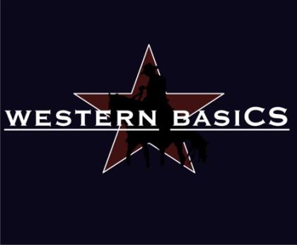 Western Basics Beritt Unterricht Westernreiten