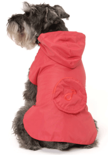 Regenjacke für Hunde - die neue Designer-Kollektion ist da